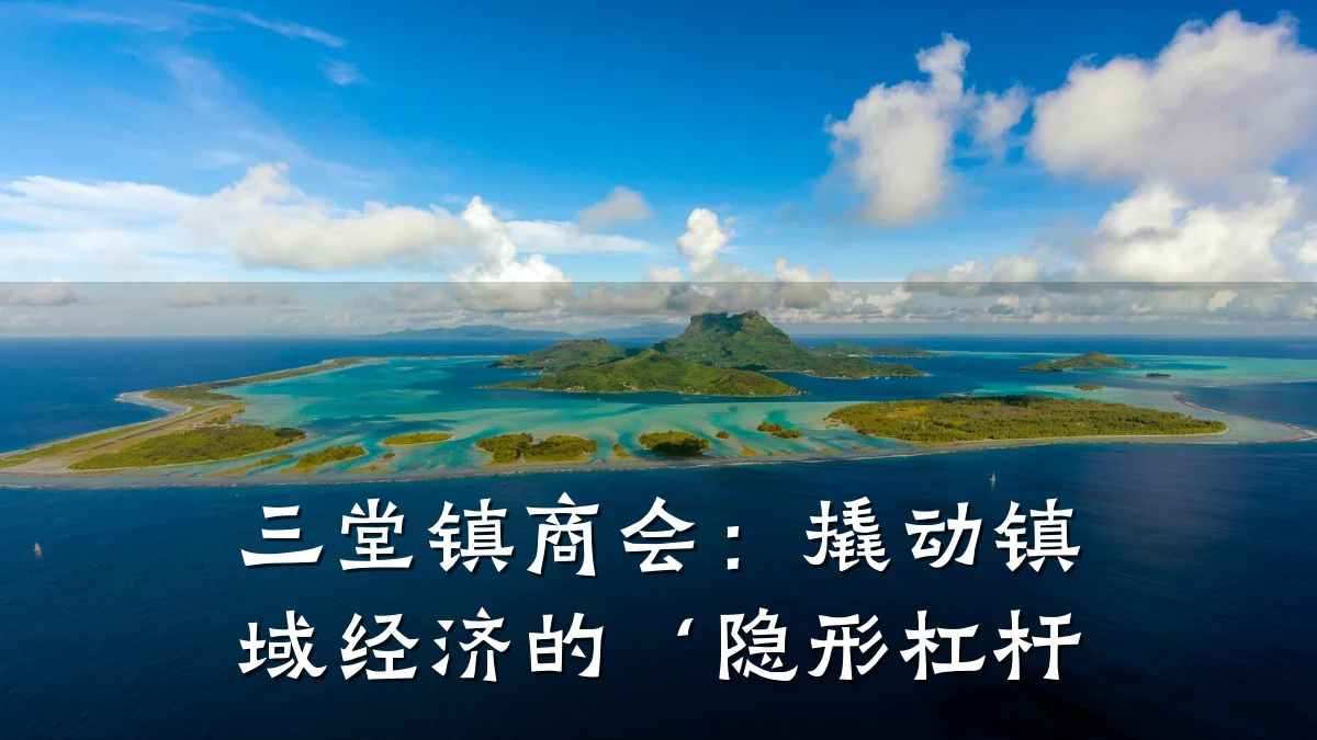 三堂镇商会：撬动镇域经济的‘隐形杠杆
