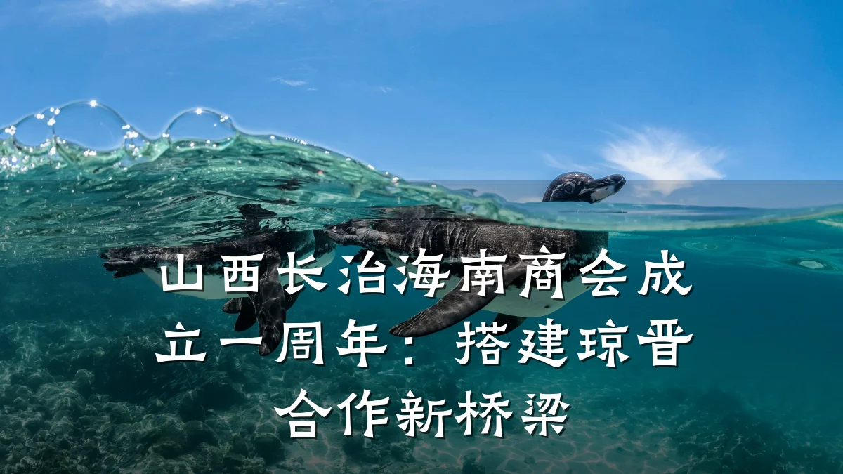 山西长治海南商会成立一周年:搭建琼晋合作新桥梁