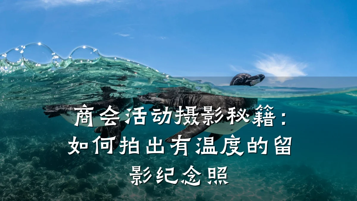商会活动摄影秘籍:如何拍出有温度的留影纪念照