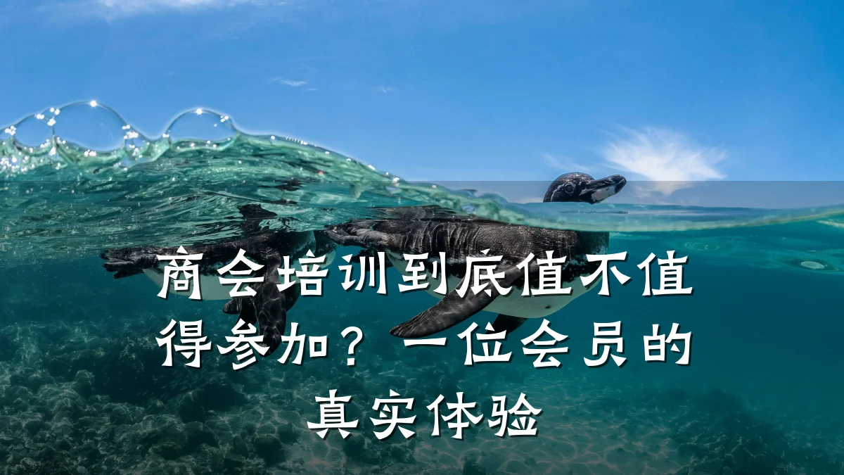 商会培训到底值不值得参加?一位会员的真实体验