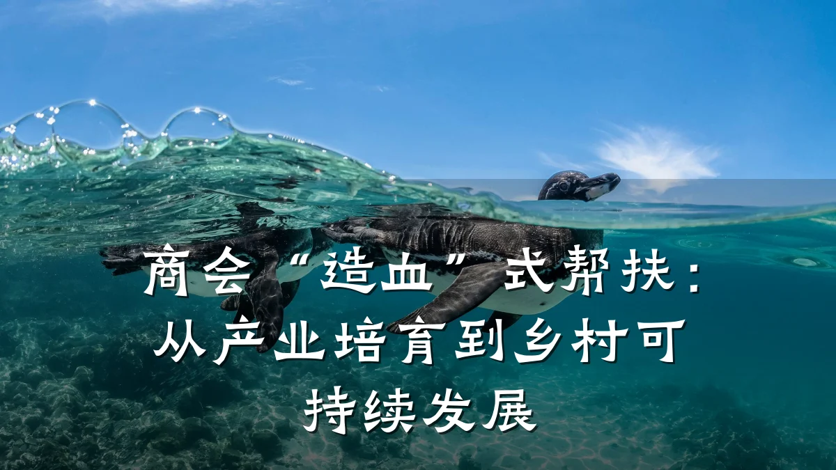 商会“造血”式帮扶：从产业培育到乡村可持续发展