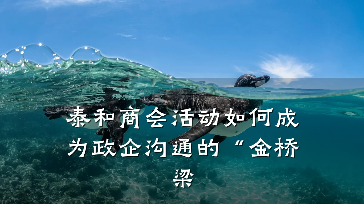 泰和商会活动如何成为政企沟通的“金桥梁
