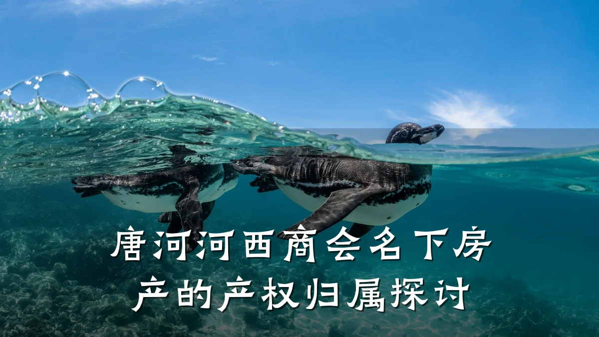 唐河河西商会名下房产的产权归属探讨
