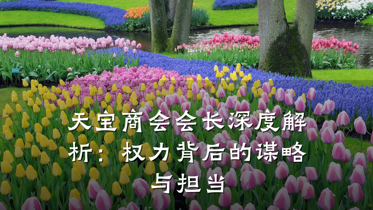 天宝商会会长深度解析:权力背后的谋略与担当