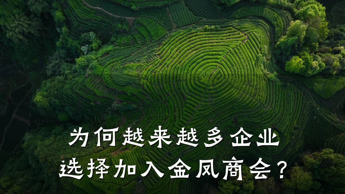 为何越来越多企业选择加入金凤商会?
