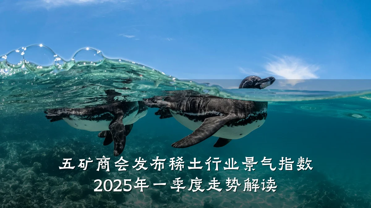 五矿商会发布稀土行业景气指数 2025年一季度走势解读