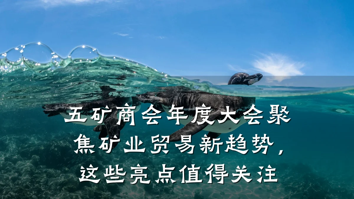 五矿商会年度大会聚焦矿业贸易新趋势,这些亮点值得关注