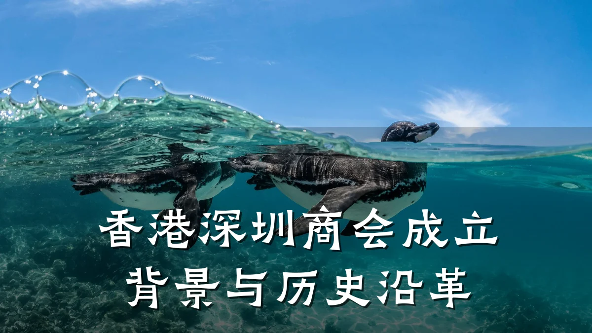 香港深圳商会成立背景与历史沿革