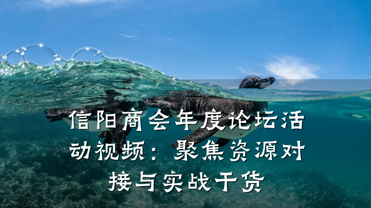 信阳商会年度论坛活动视频:聚焦资源对接与实战干货