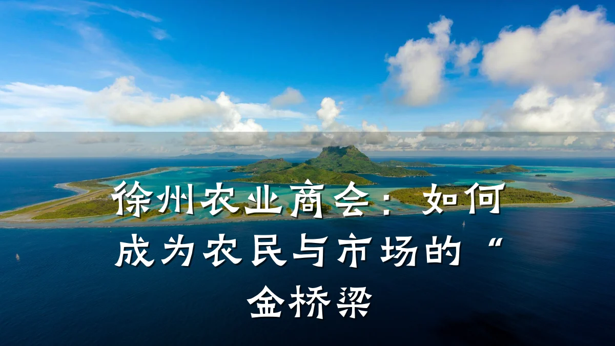 徐州农业商会：如何成为农民与市场的“金桥梁
