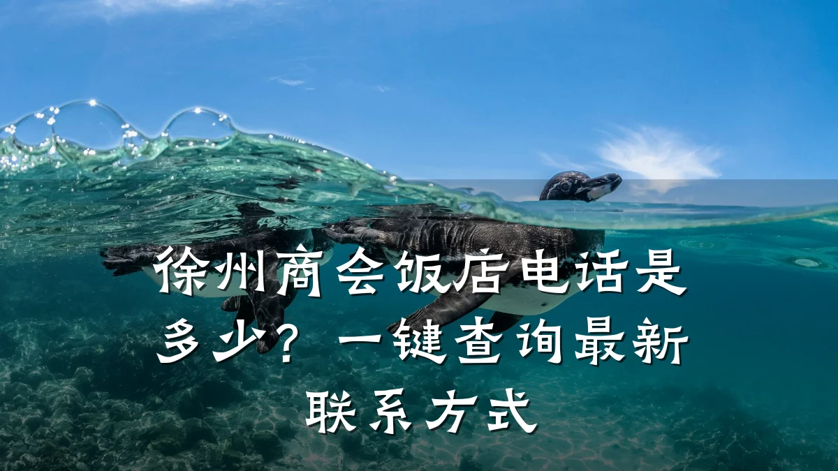 徐州商会饭店电话是多少?一键查询最新联系方式