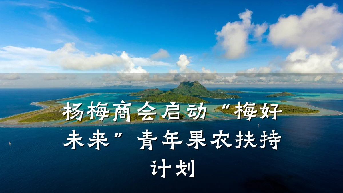 杨梅商会启动“梅好未来”青年果农扶持计划