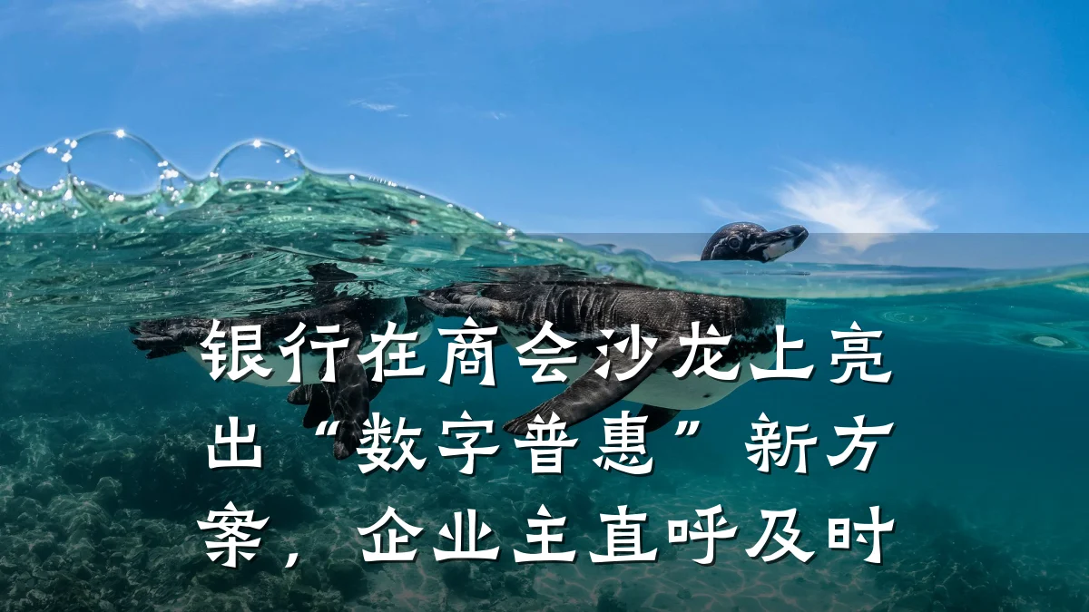 银行在商会沙龙上亮出“数字普惠”新方案,企业主直呼及时