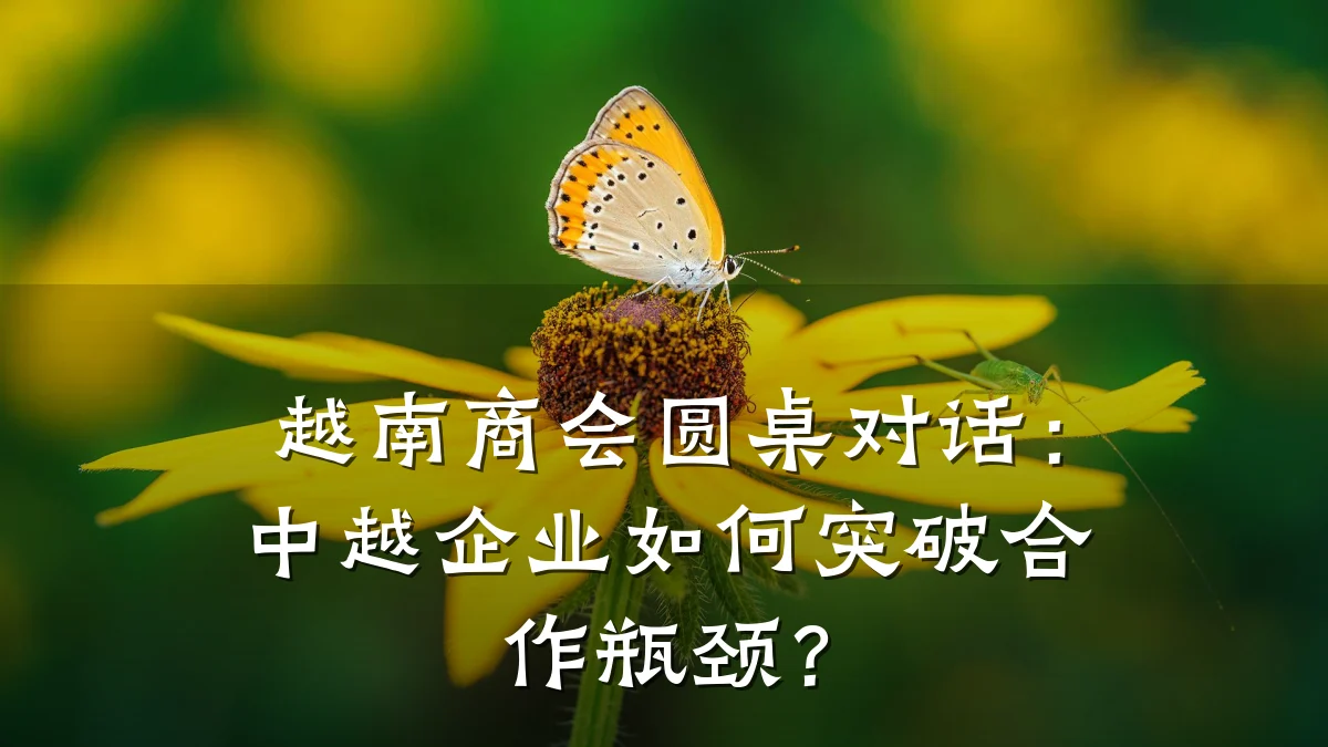 越南商会圆桌对话：中越企业如何突破合作瓶颈？