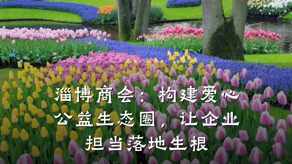 淄博商会:构建爱心公益生态圈,让企业担当落地生根