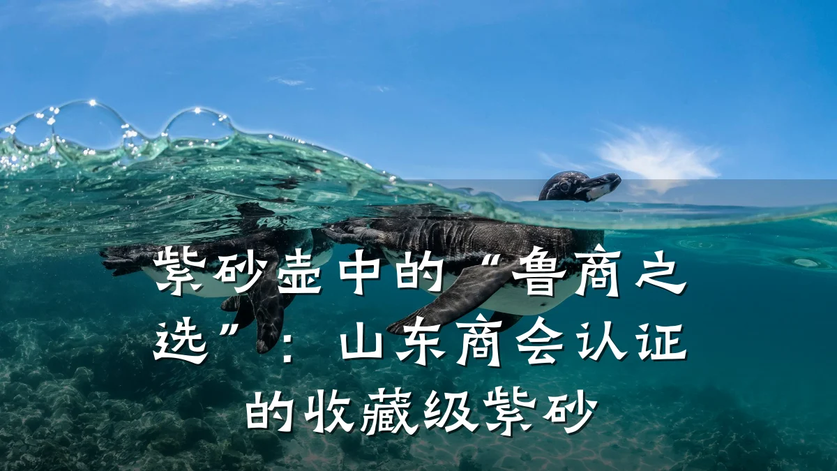 紫砂壶中的“鲁商之选”:山东商会认证的收藏级紫砂