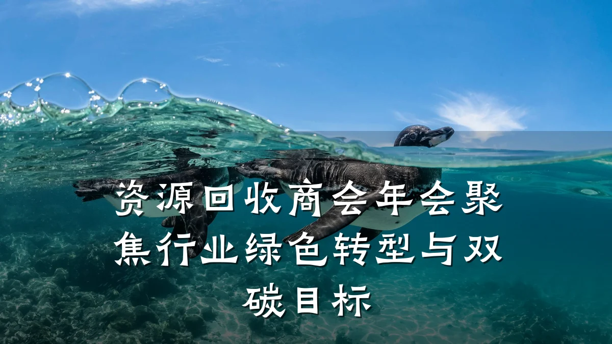 资源回收商会年会聚焦行业绿色转型与双碳目标