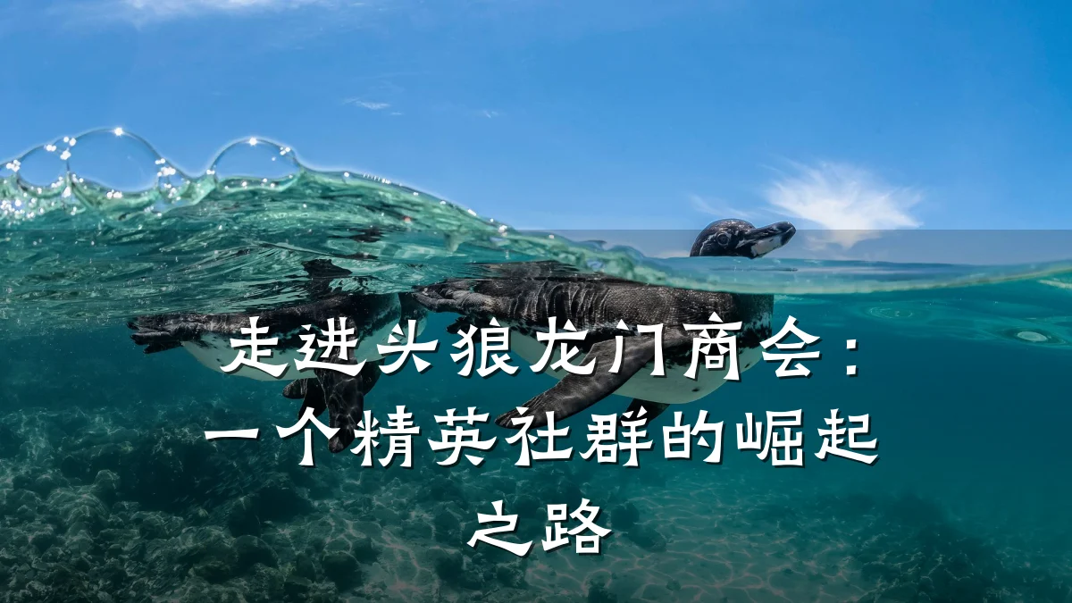 走进头狼龙门商会：一个精英社群的崛起之路