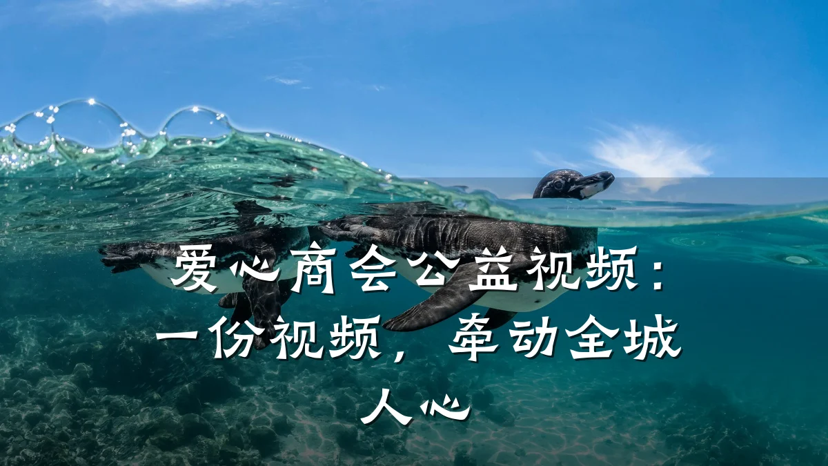爱心商会公益视频:一份视频,牵动全城人心