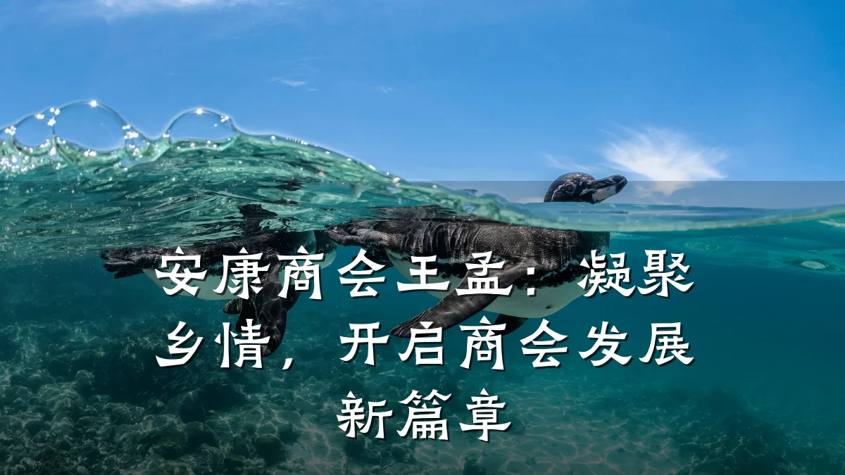 安康商会王孟:凝聚乡情,开启商会发展新篇章