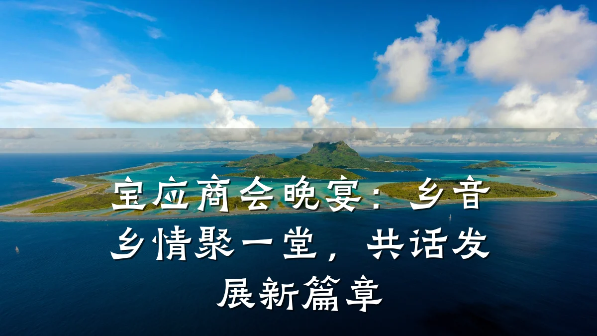 宝应商会晚宴:乡音乡情聚一堂,共话发展新篇章