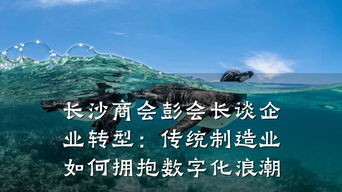 长沙商会彭会长谈企业转型：传统制造业如何拥抱数字化浪潮