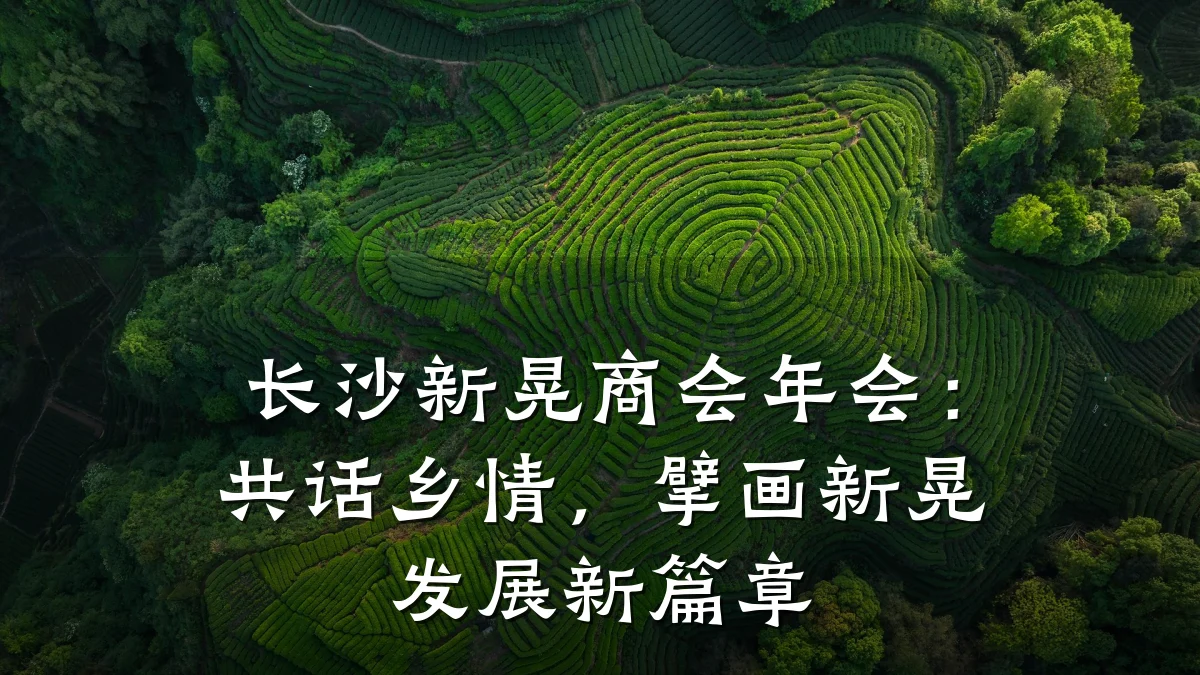 长沙新晃商会年会:共话乡情,擘画新晃发展新篇章
