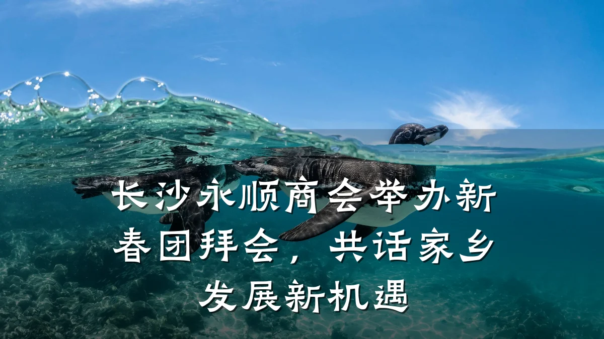长沙永顺商会举办新春团拜会,共话家乡发展新机遇