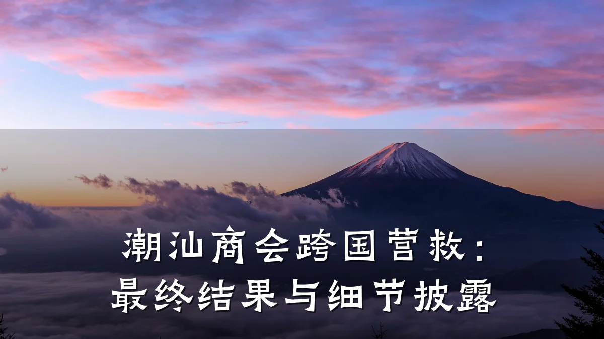潮汕商会跨国营救：最终结果与细节披露