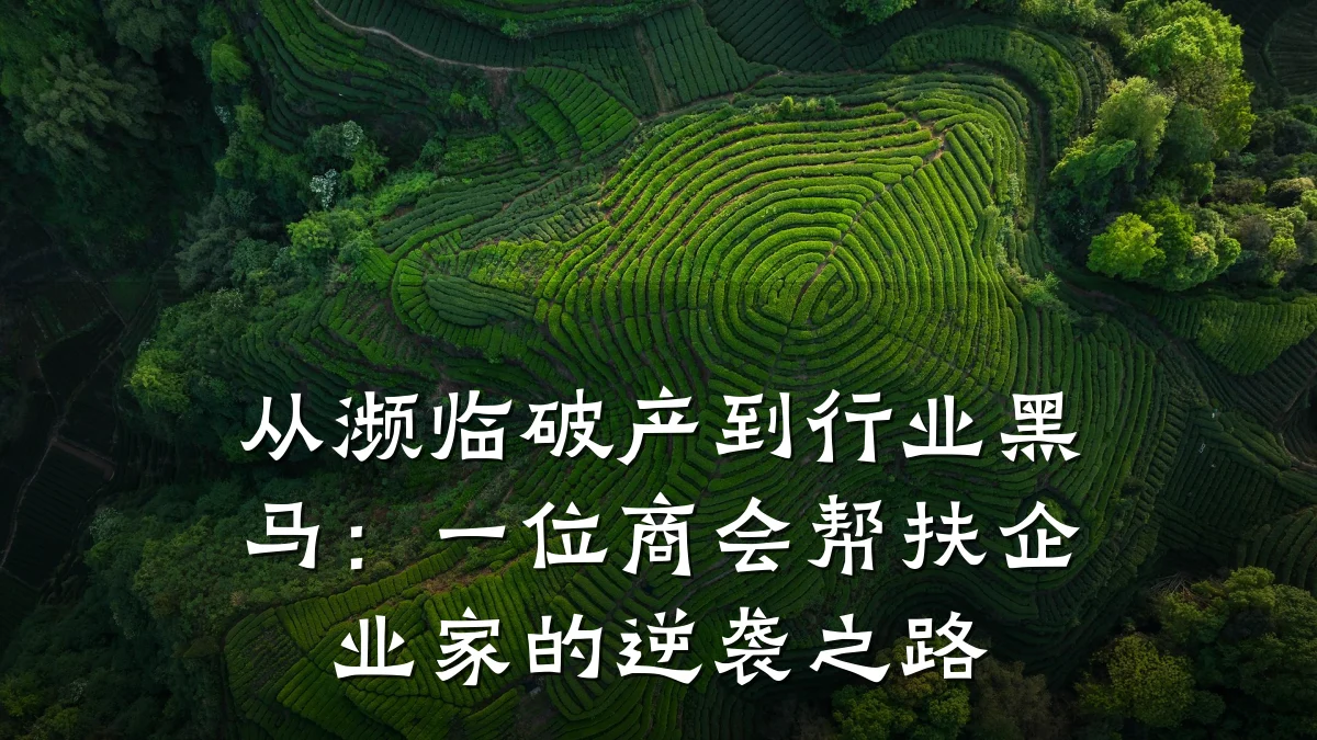 从濒临破产到行业黑马:一位商会帮扶企业家的逆袭之路