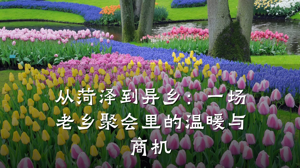 从菏泽到异乡:一场老乡聚会里的温暖与商机