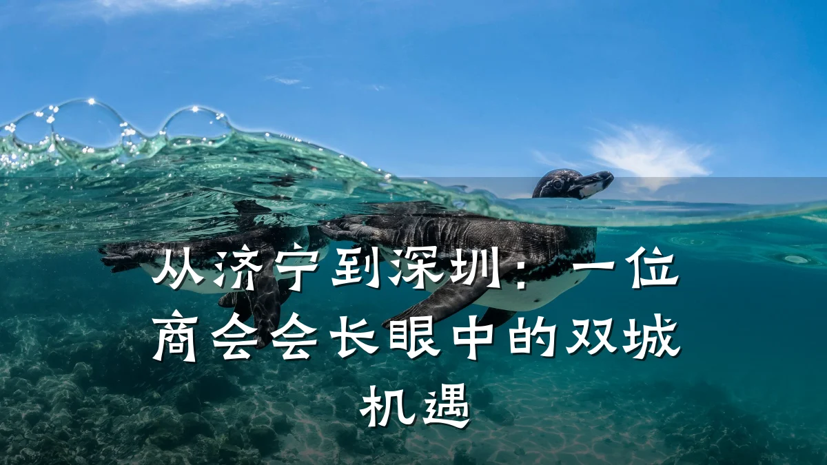 从济宁到深圳:一位商会会长眼中的双城机遇