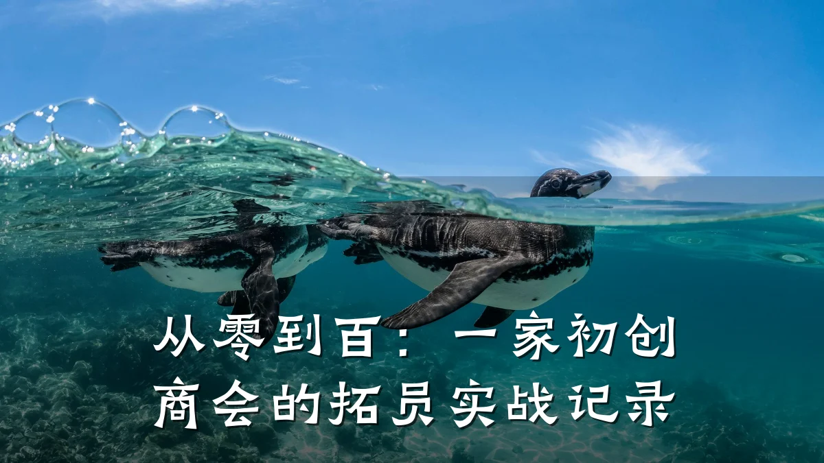 从零到百:一家初创商会的拓员实战记录