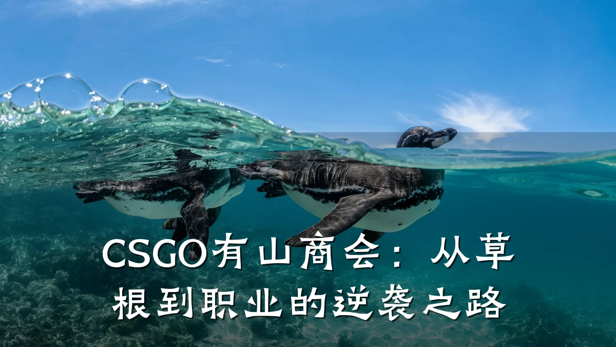 CSGO有山商会:从草根到职业的逆袭之路