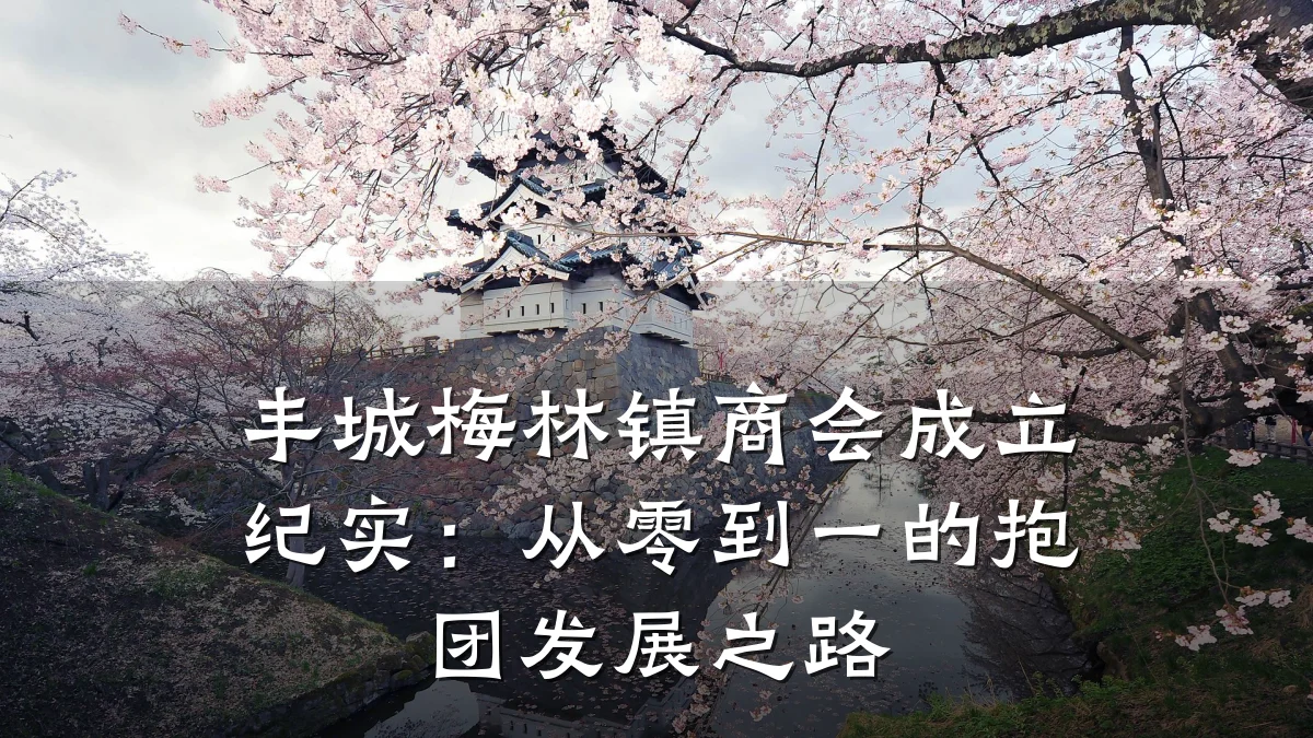 丰城梅林镇商会成立纪实:从零到一的抱团发展之路