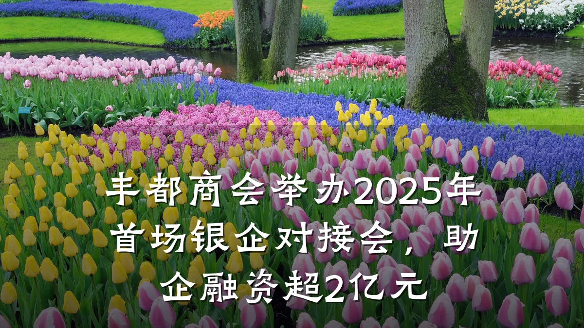 丰都商会举办2025年首场银企对接会，助企融资超2亿元