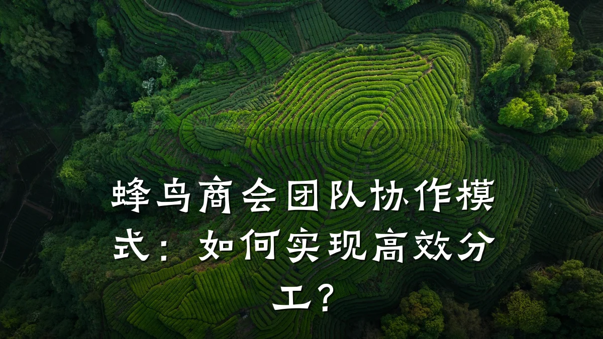 蜂鸟商会团队协作模式:如何实现高效分工?