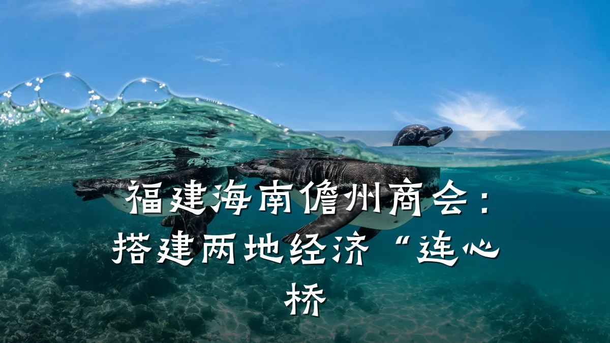 福建海南儋州商会：搭建两地经济“连心桥