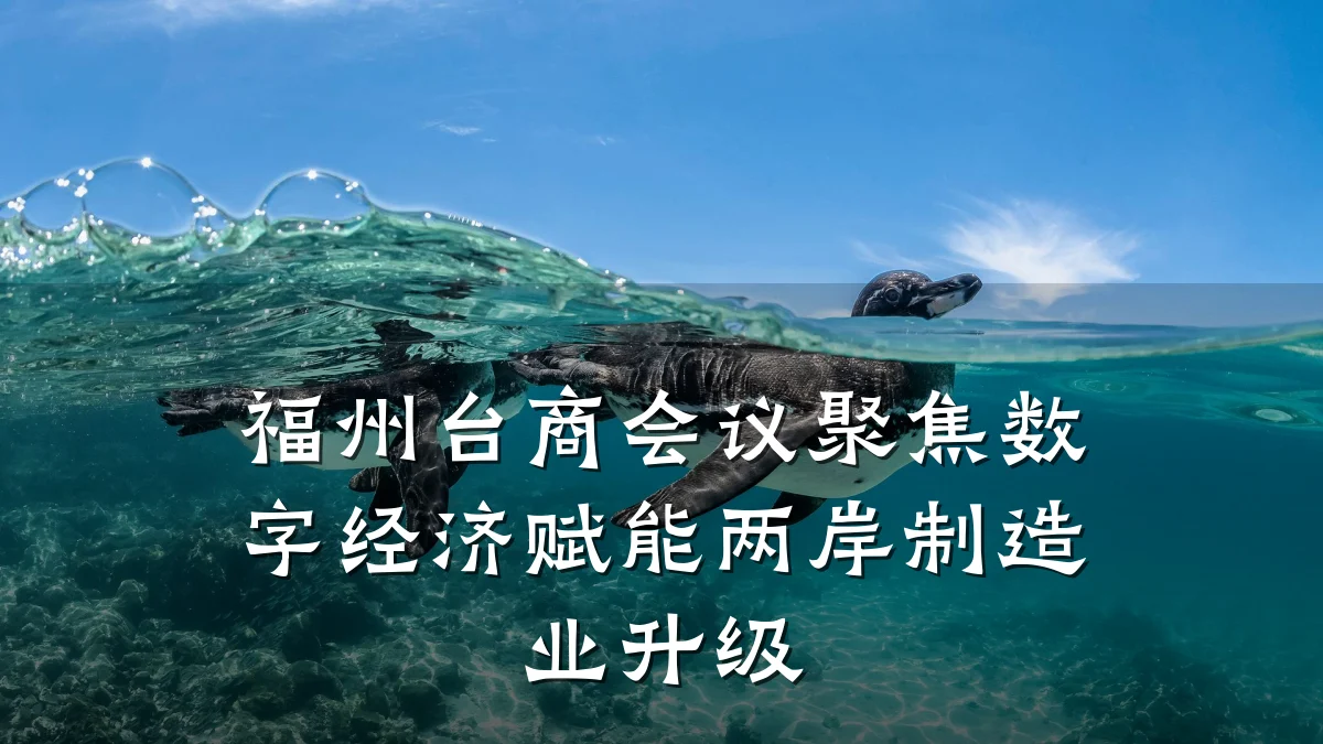 福州台商会议聚焦数字经济赋能两岸制造业升级