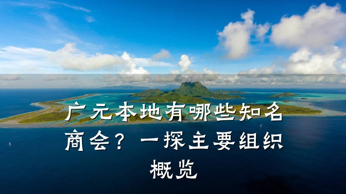 广元本地有哪些知名商会?一探主要组织概览