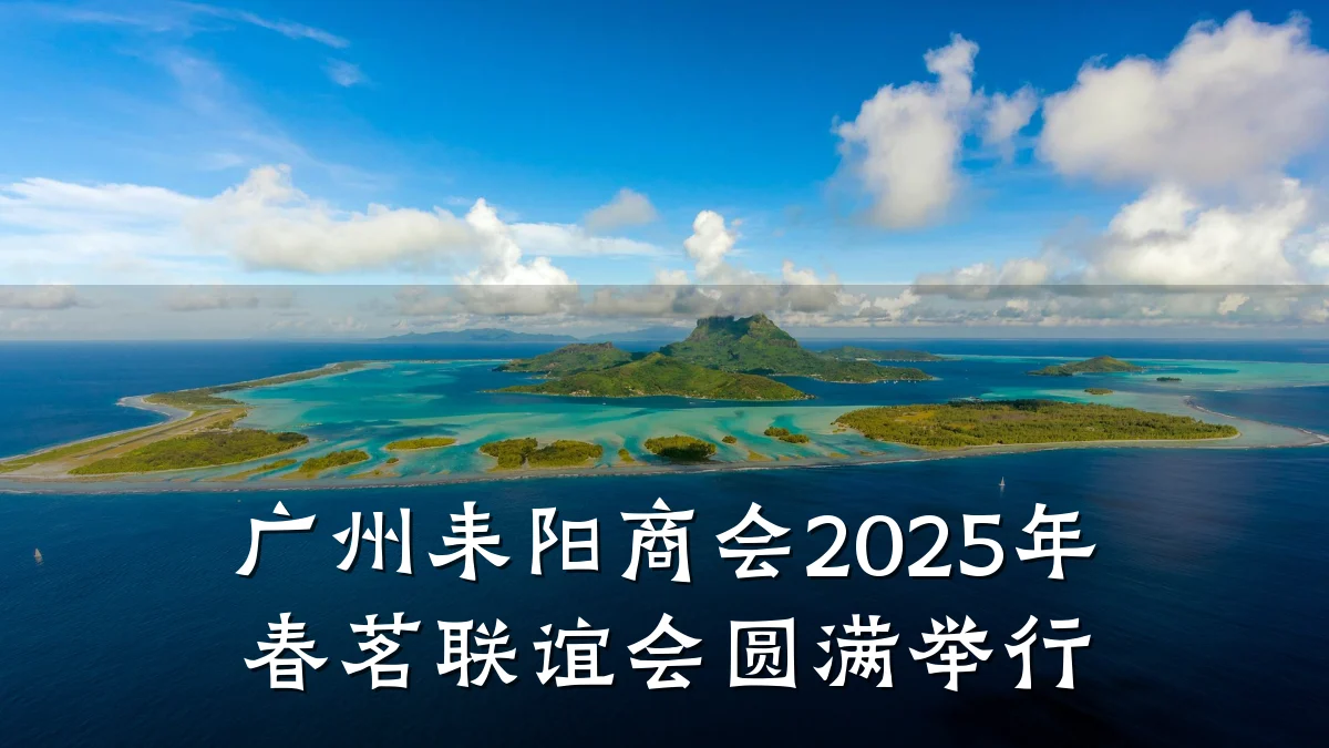 广州耒阳商会2025年春茗联谊会圆满举行