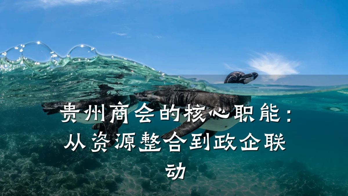 贵州商会的核心职能：从资源整合到政企联动