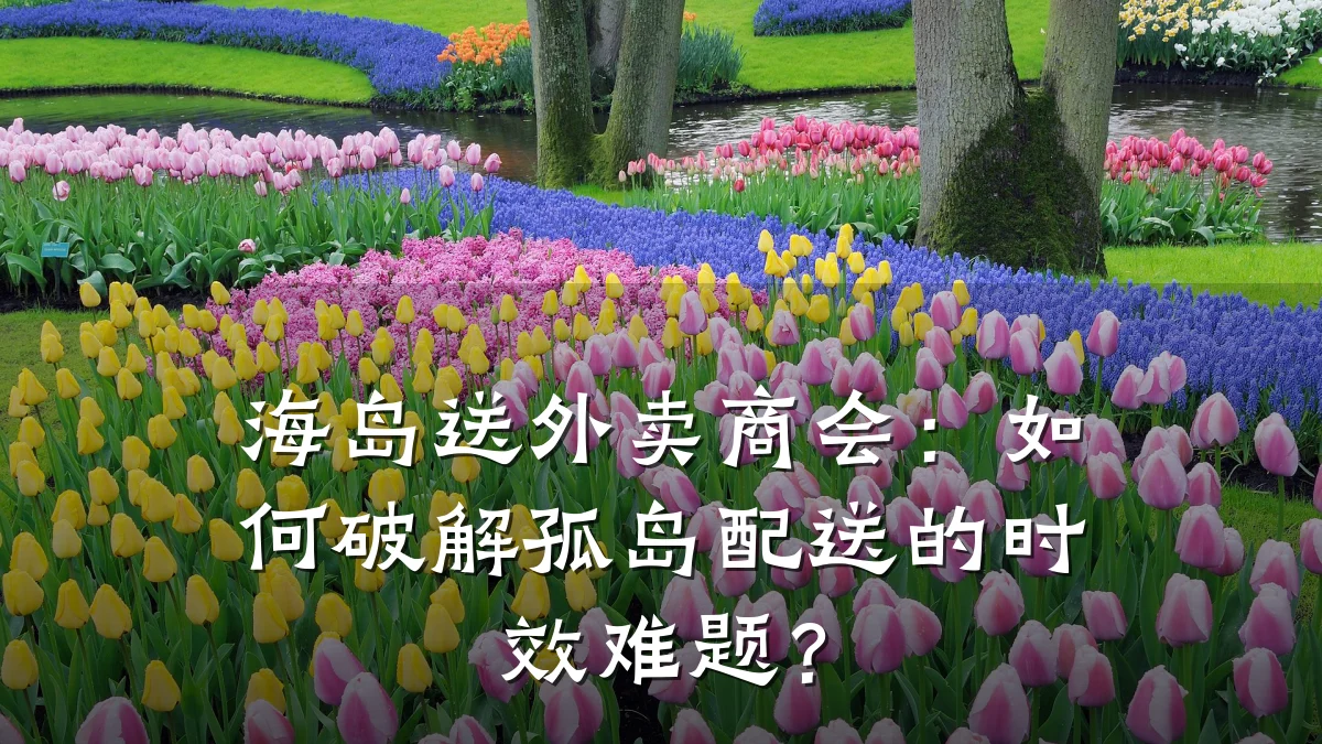 海岛送外卖商会:如何破解孤岛配送的时效难题?