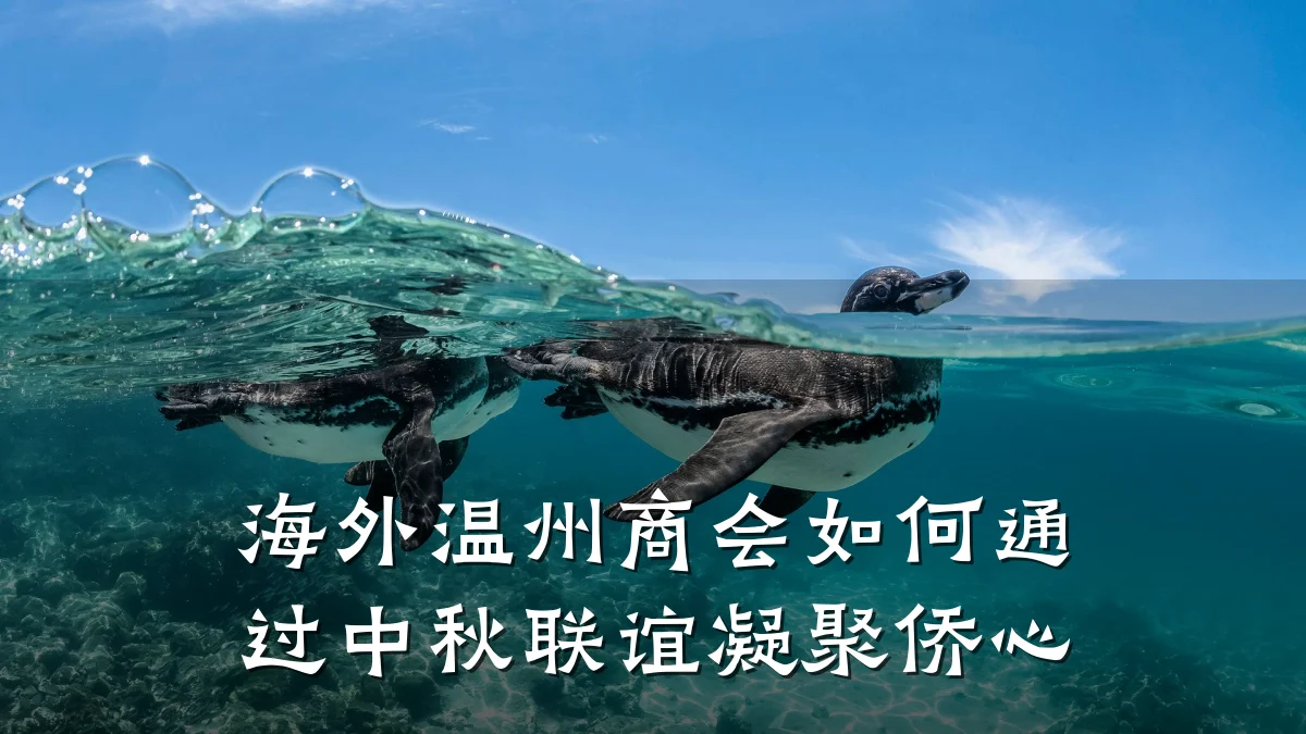 海外温州商会如何通过中秋联谊凝聚侨心