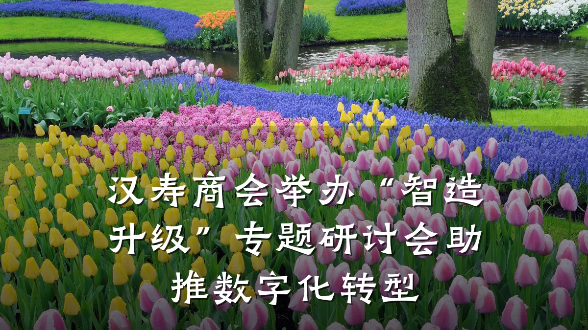 汉寿商会举办“智造升级”专题研讨会助推数字化转型