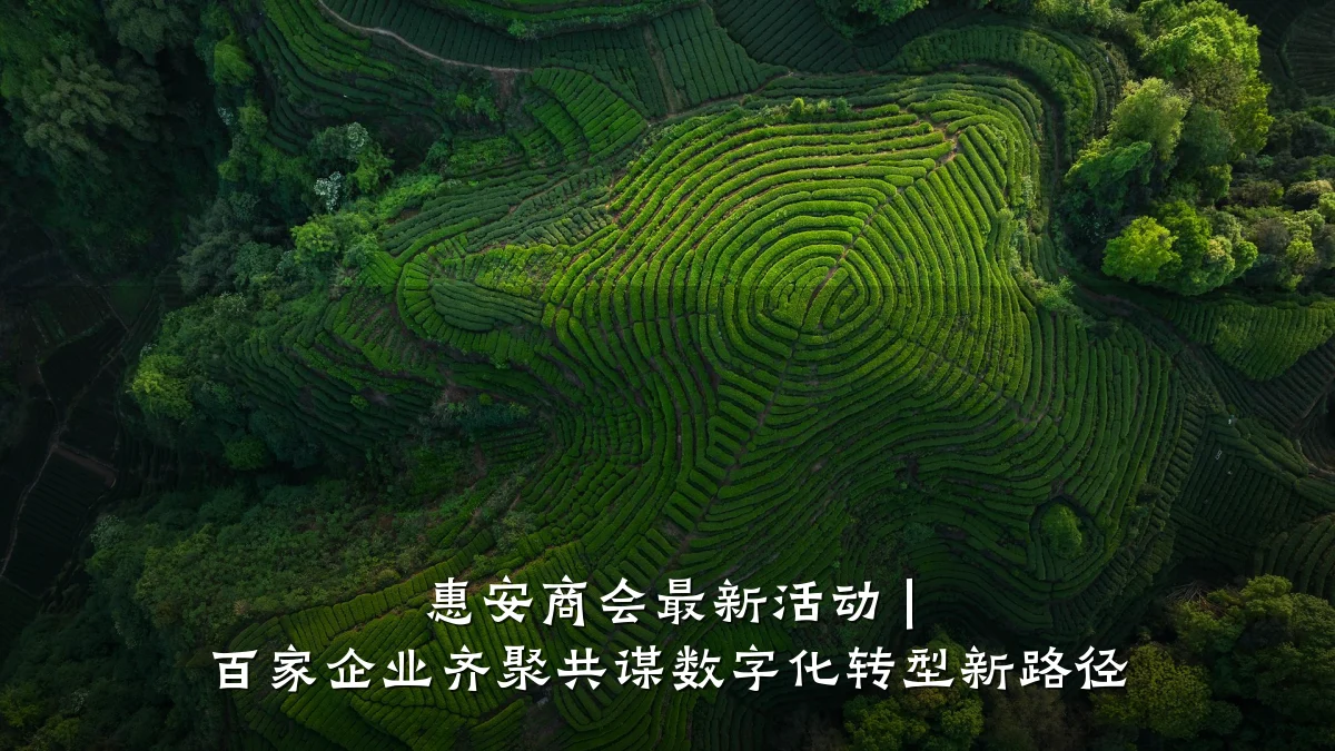 惠安商会最新活动 | 百家企业齐聚共谋数字化转型新路径