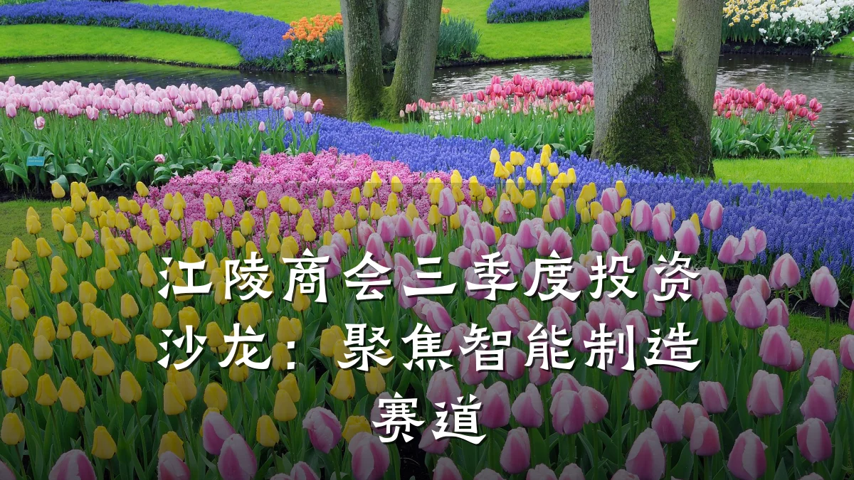 江陵商会三季度投资沙龙：聚焦智能制造赛道