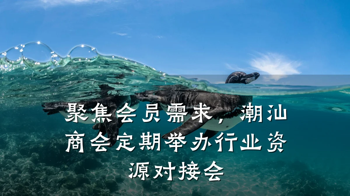 聚焦会员需求，潮汕商会定期举办行业资源对接会