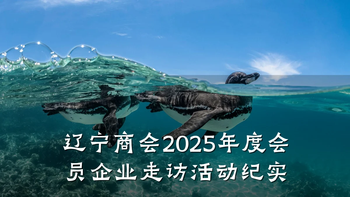 辽宁商会2025年度会员企业走访活动纪实