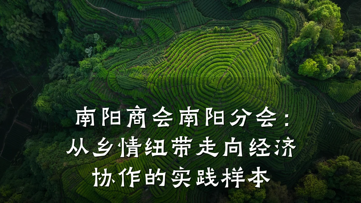 南阳商会南阳分会：从乡情纽带走向经济协作的实践样本